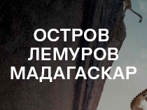 Остров лемуров: Мадагаскар
