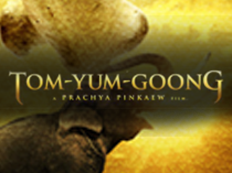 Честь дракона